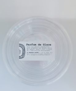 Alternative view of Sorbet Cerise Griotte